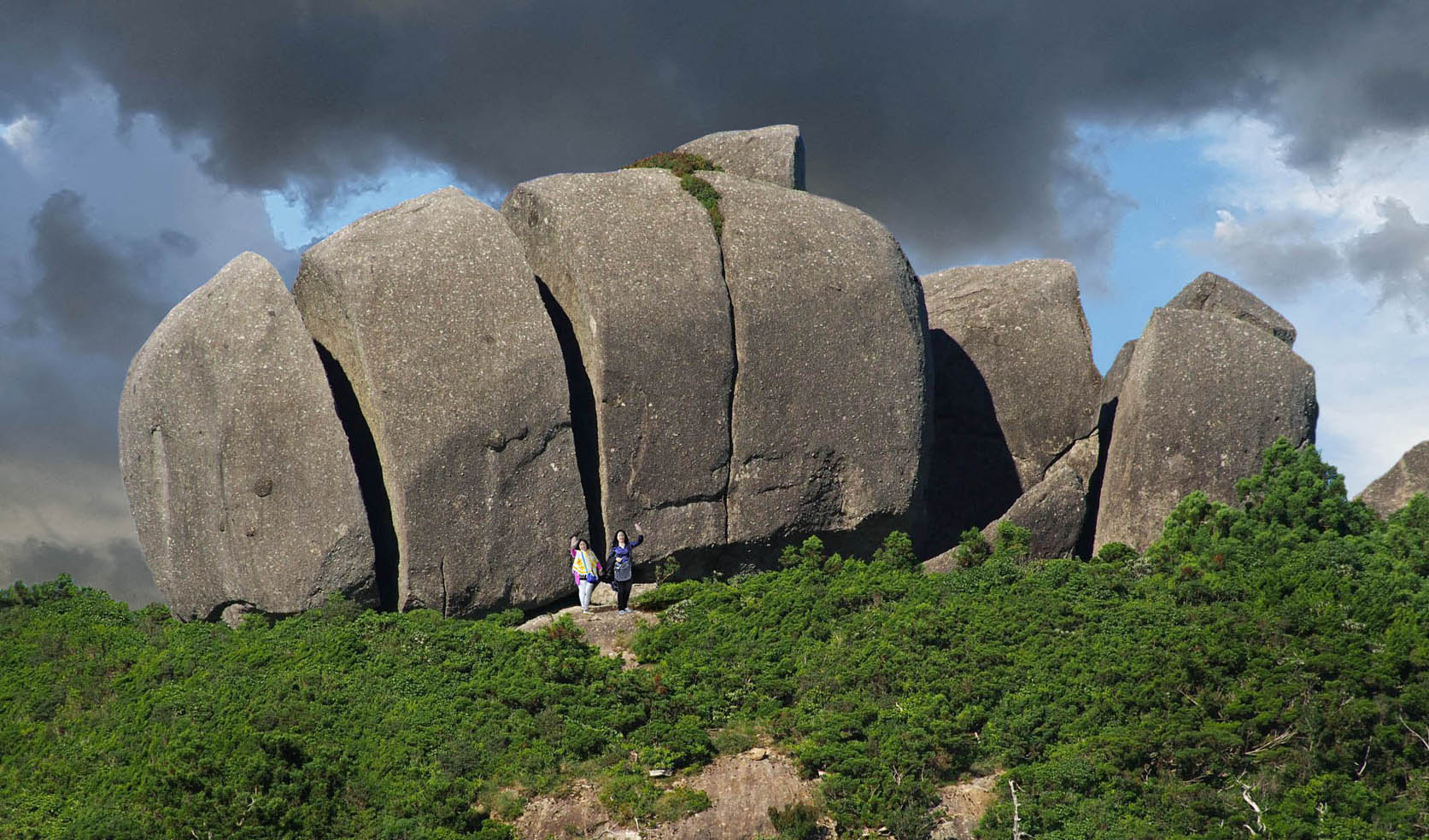 Ile de Yakushima - Tofu rock