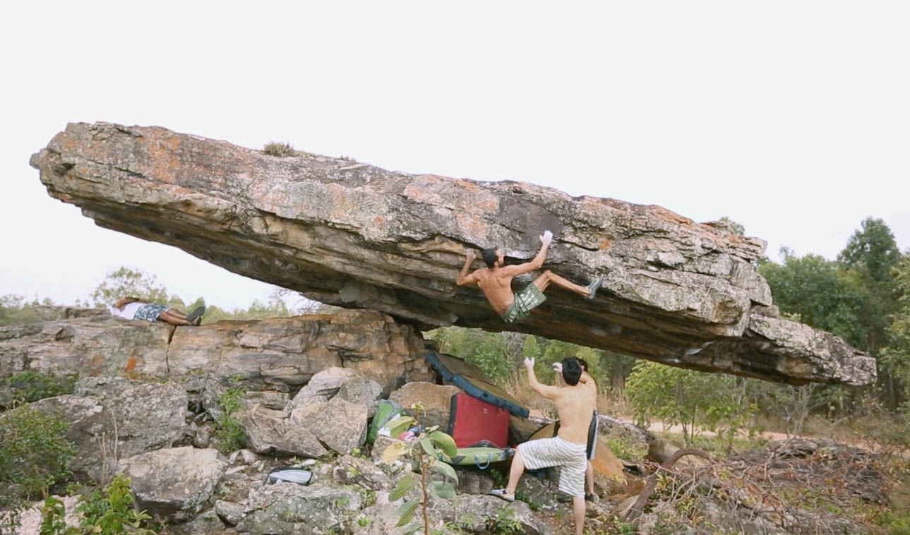 Chapéu do Sol - Brésil